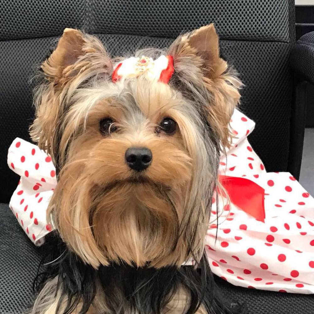 Meet your Posher, Magdeline